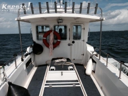 bateaux de peche king fish 19  