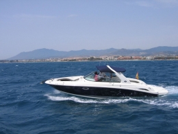 Sea Ray 295 SLX