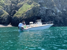 Boston Whaler 22 Dauntless