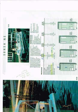 Pontoon boat et sa remorque